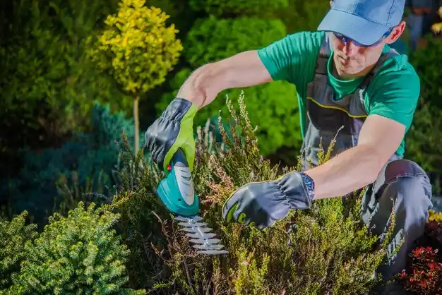 landscaping services Escatawpa